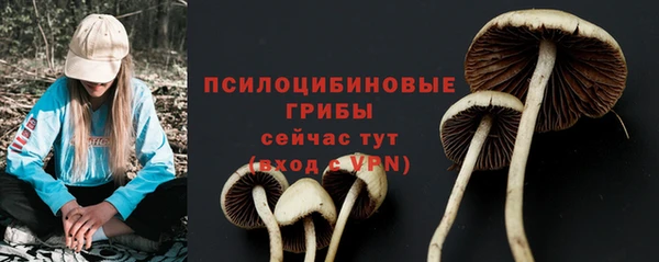 мяу мяу мука Липки